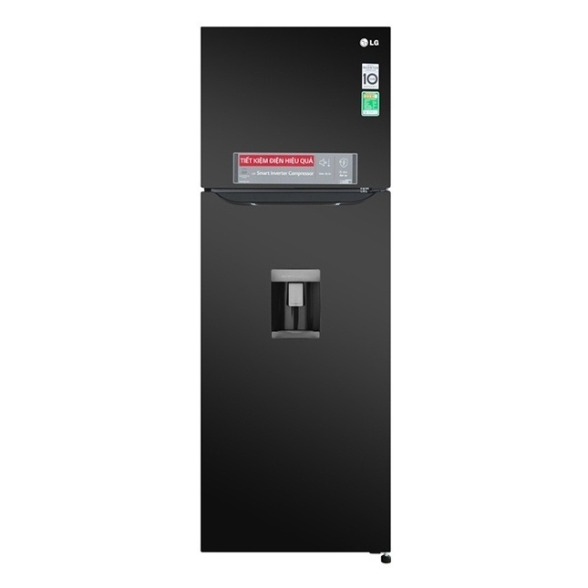 Tủ Lạnh LG GN-D315BL Smart Inverter™ 333L 2 Cánh có Ngăn lấy nước ngoài (Khử mùi Nano Cacbon)