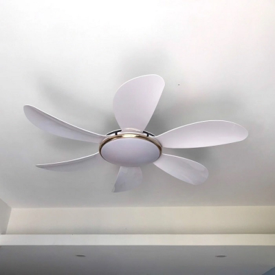 Quạt trần Airfusion Akamani 06W